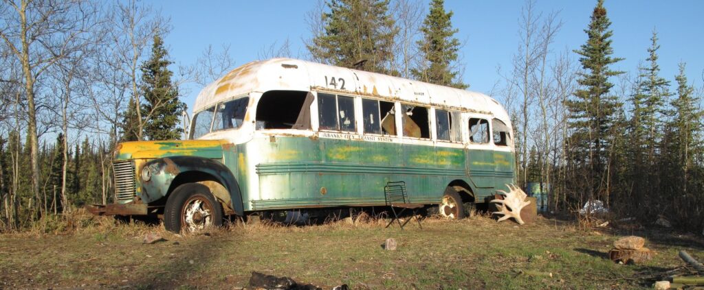 icona wordpress Magik Buss